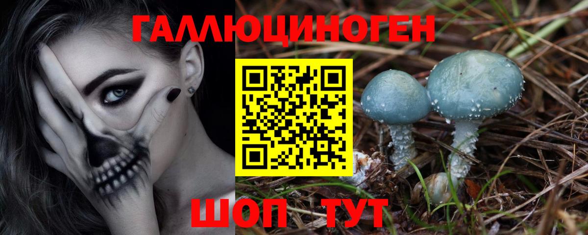 Острогожск  Псилоцибиновые грибы Psilocybe  Вход с VPN 